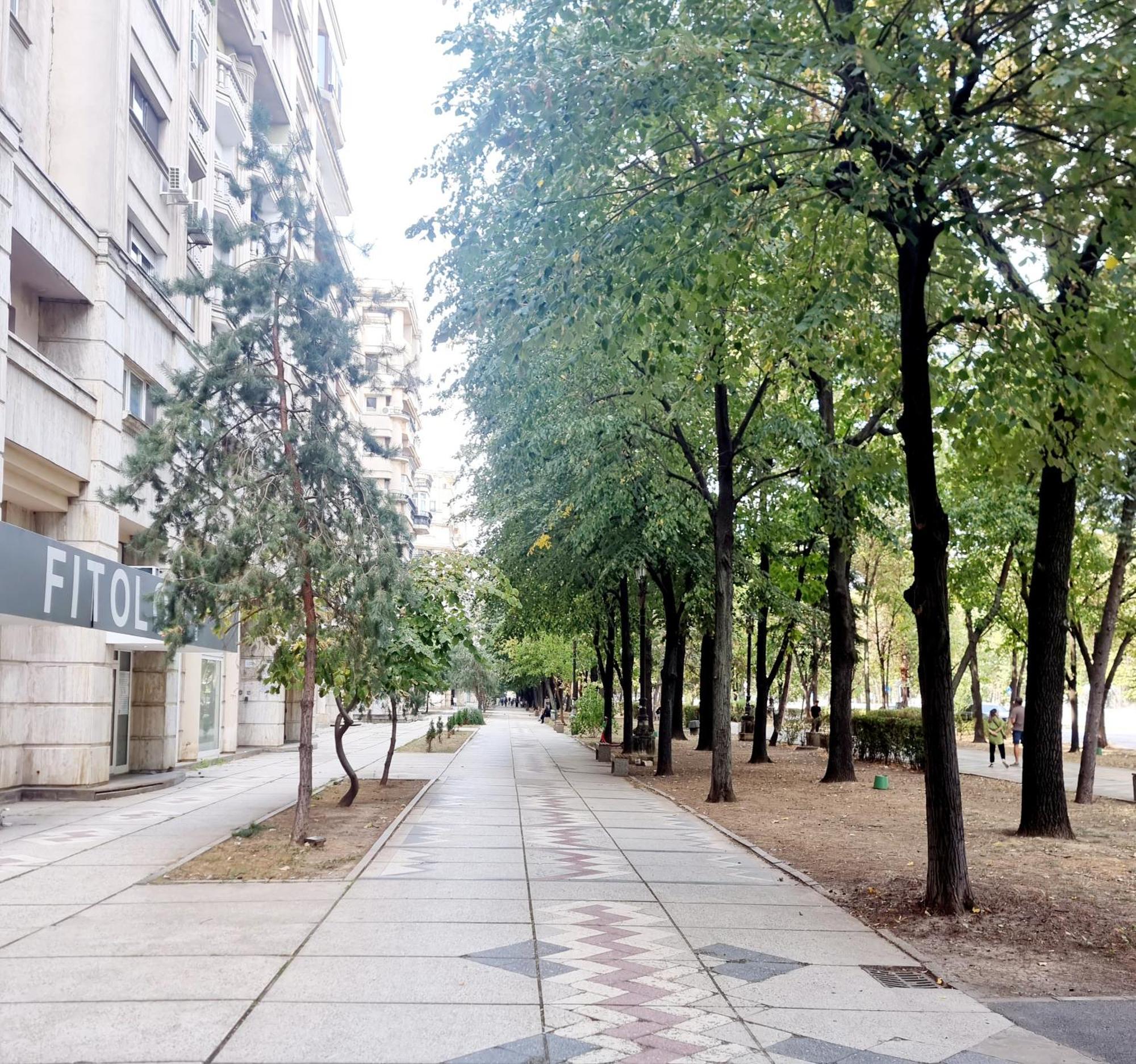 Tranquil Unirii Residence - Elegant & Spacious Living With Parking Steps From Parliament Bukarest Exterior foto